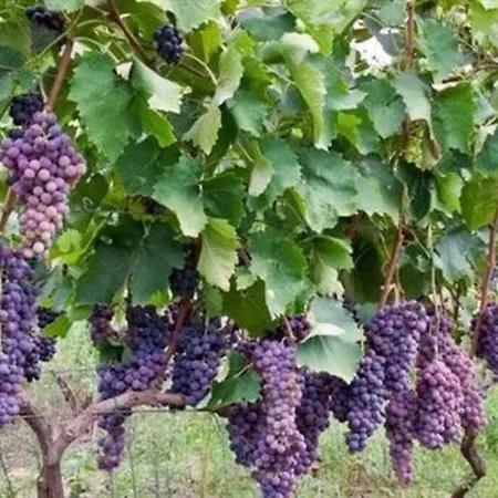 Seaview By Myseasight Вилла *