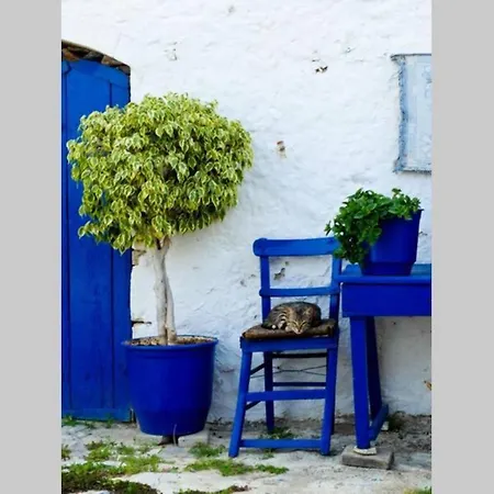 Seaview By Myseasight *