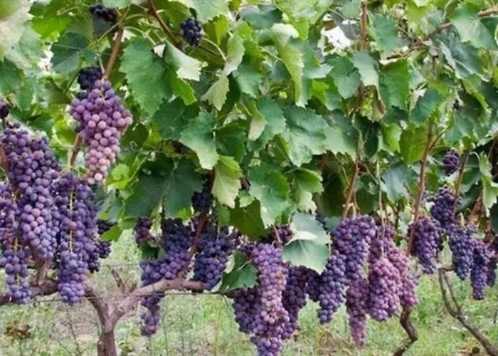 Seaview By Myseasight Villa *