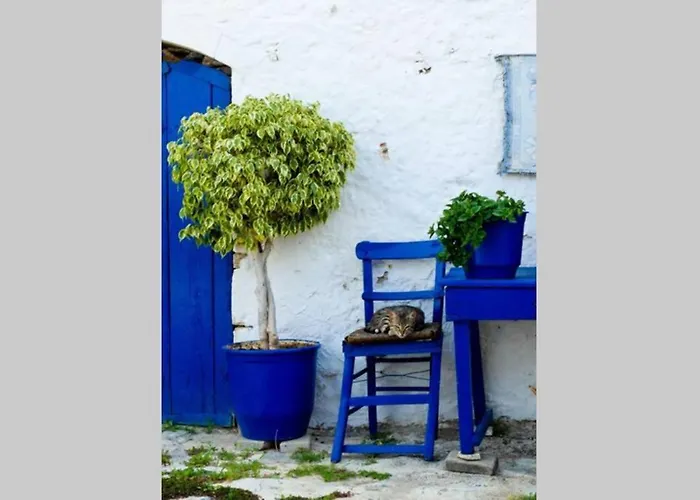 Seaview By Myseasight *