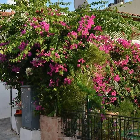 Villa Seaview By Myseasight